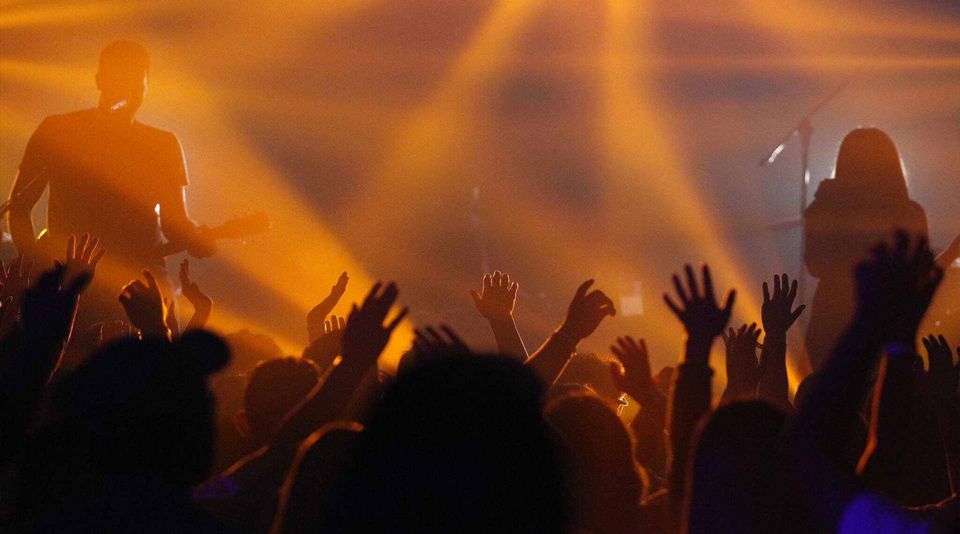 Music and Venue Noise